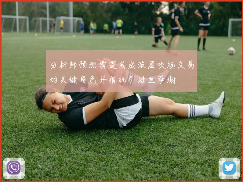 分析师预测雷霆或成浓眉吹杨交易的关键角色并借机引进里萨谢