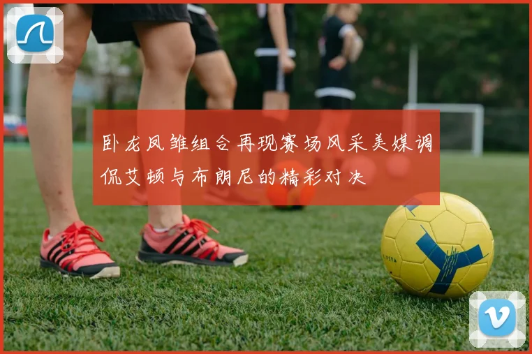 卧龙凤雏组合再现赛场风采美媒调侃艾顿与布朗尼的精彩对决