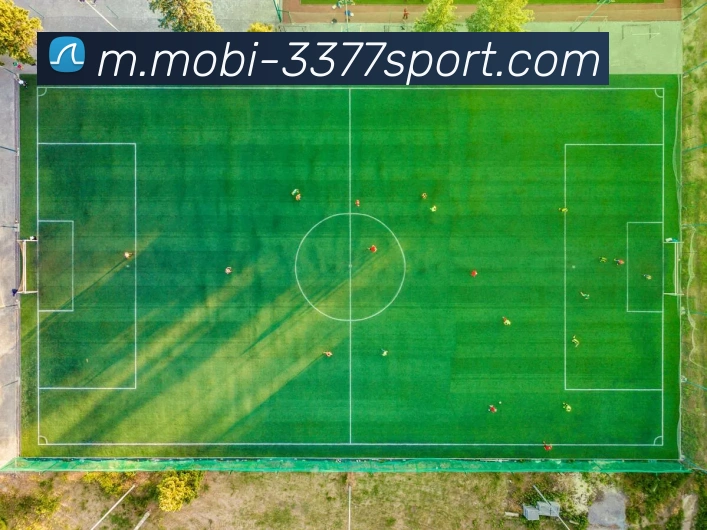 3377体育平台生态图